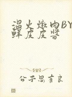 温火炖肉BY海鲜皮皮酱封面