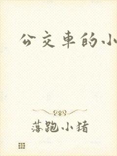 公交车的小说
