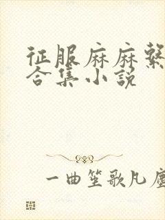 征服麻麻系列大合集小说