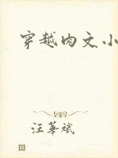 穿越肉文小说