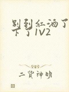 别到红酒了装不下了1V2