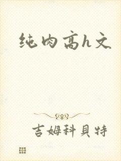 纯肉高h文封面