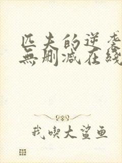 匹夫的逆袭小说无删减在线阅读封面