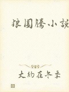 狼图腾小说封面