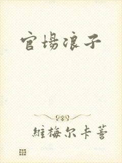 官场浪子