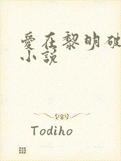 爱在黎明破晓前小说封面