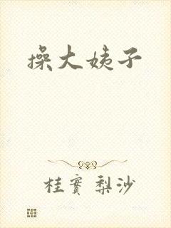 操大姨子封面
