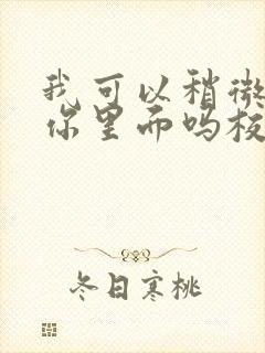 我可以稍微放进你里面吗校园版