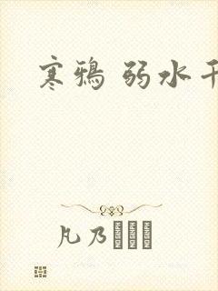 寒鸦 弱水千流