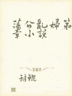 荡公乱妇第51章小说