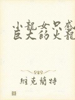 小龙女只感觉那巨大的火龙枪