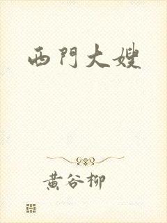 西门大嫂封面