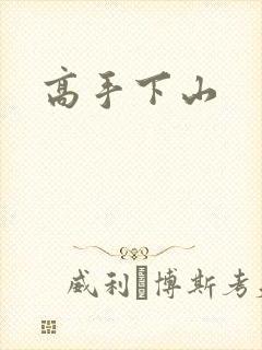 高手下山封面