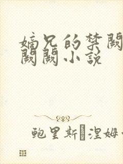 嫡兄的禁阙 华阙阙小说