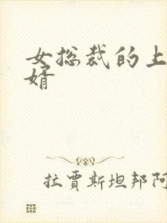 女总裁的上门女婿