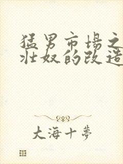 猛男市场之肌肉壮奴的改造封面