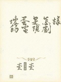 坏蛋是怎样炼成的电视剧