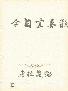 今日宜喜欢封面