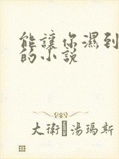 能让你湿到不行的小说