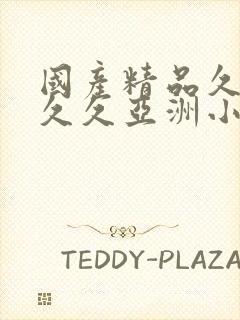 国产精品久久久久久亚洲小说