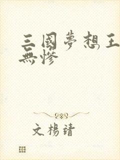 三国梦想王元姬无惨封面