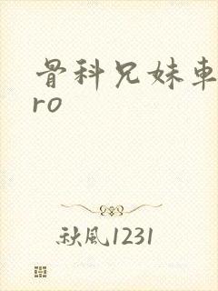 骨科兄妹车多pro