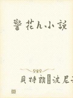 警花h小说封面