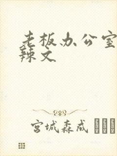 老板办公室系列辣文封面