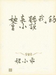 她来听我的演唱会小说