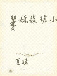 儿媳苏玥小说免费