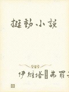 挺动小说