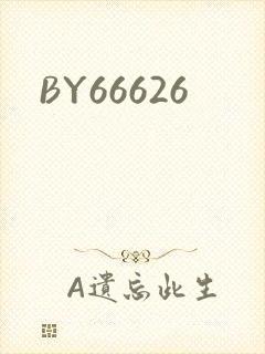 BY66626封面