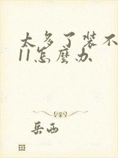 太多了装不下h11怎么办