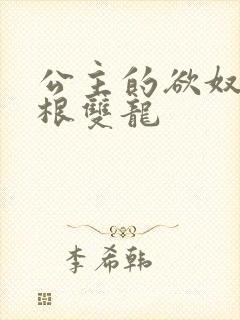 公主的欲奴h四根双龙