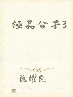极品公子3