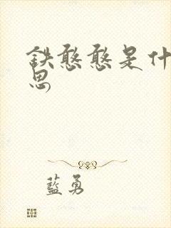 铁憨憨是什么意思