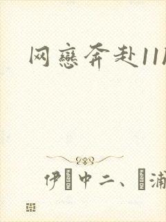 网恋奔赴11h封面