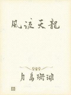 风流天龙封面