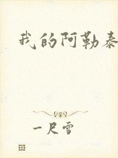 我的阿勒泰小说封面