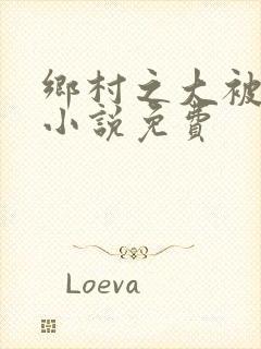 乡村之大被同眠小说免费