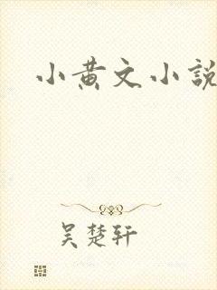 小黄文小说