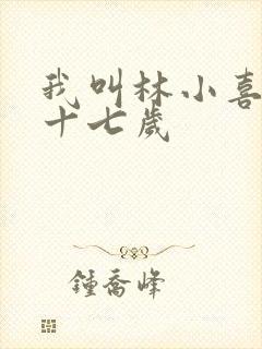 我叫林小喜今年十七岁封面
