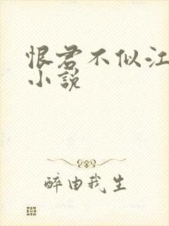 恨君不似江楼月小说