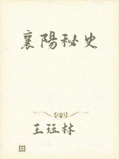 襄阳秘史