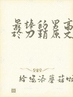 最棒的男高中生于刀鞘原文阅读