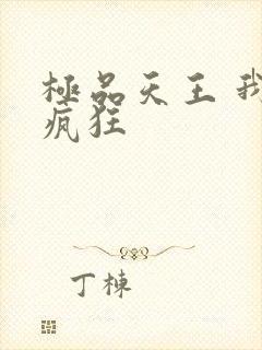 极品天王 我本疯狂