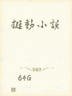 挺动小说