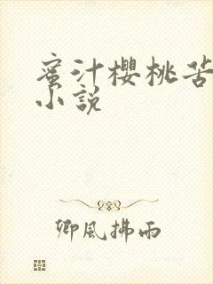 蜜汁樱桃苦咖啡小说封面