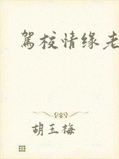 驾校情缘老赵封面