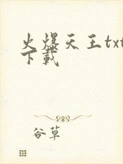 火爆天王txt下载